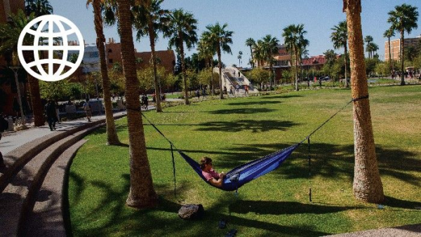 Student sitting in a hammock on campus.