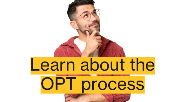 learn about opt process